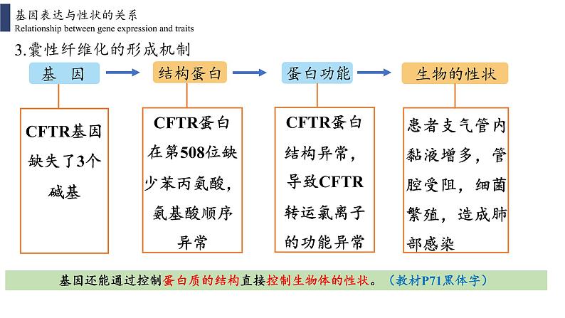 4.2 基因表达与性状的关系课件PPT05