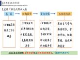 4.2 基因表达与性状的关系课件PPT