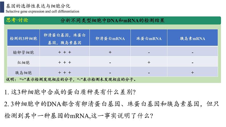 4.2 基因表达与性状的关系课件PPT07