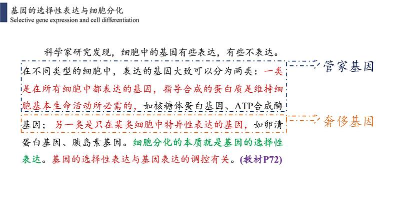 4.2 基因表达与性状的关系课件PPT08