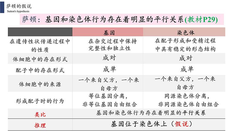 2.2 基因在染色体上课件PPT03