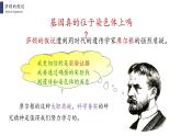 2.2 基因在染色体上课件PPT