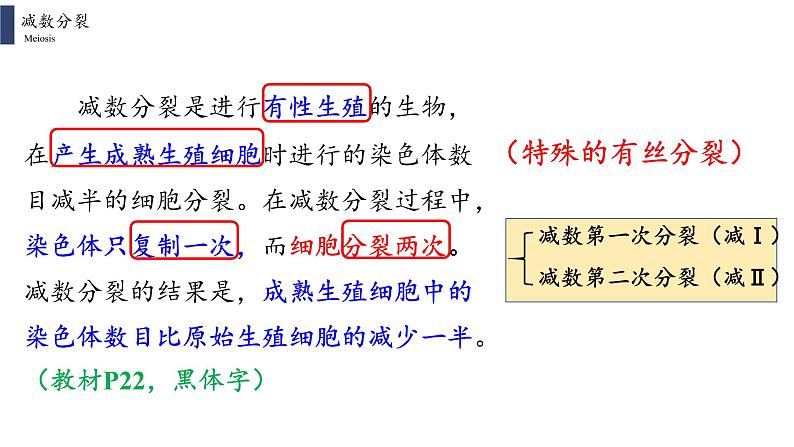 2.1.1 减数分裂和受精作用课件PPT第5页