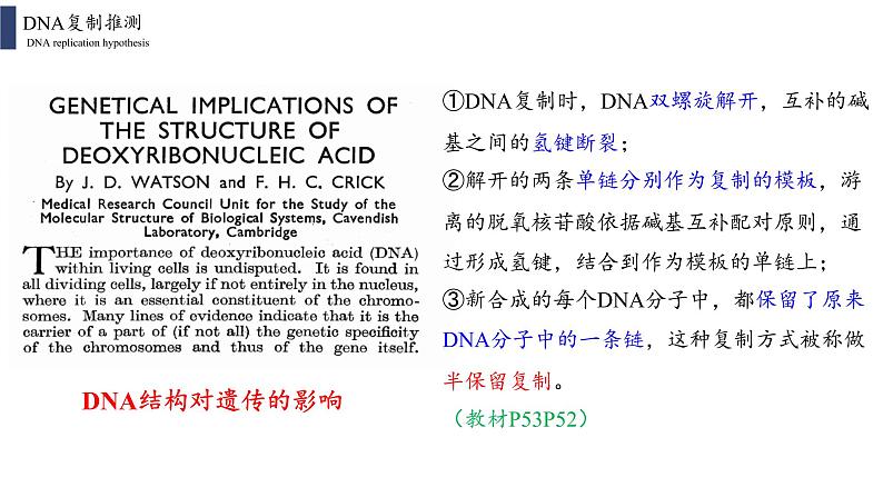 3.3 DNA的复制课件PPT03