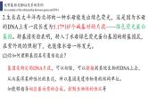 3.4 基因通常是有遗传效应的DNA片段课件PPT