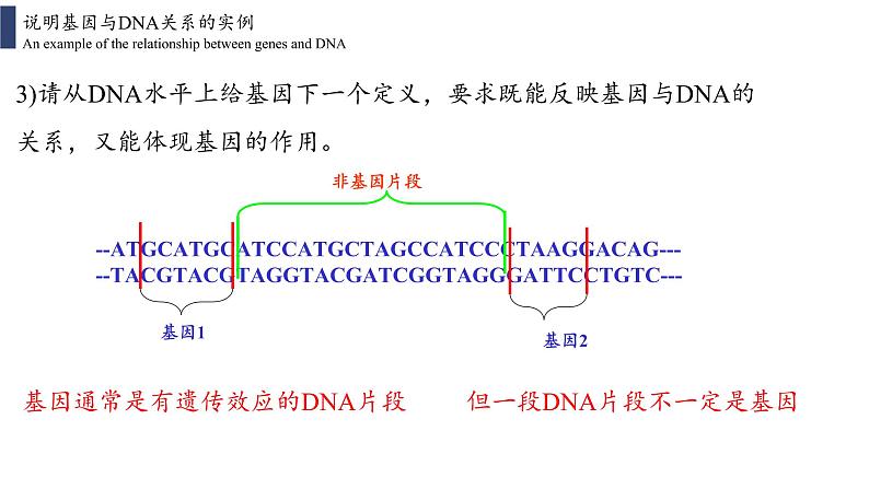 3.4 基因通常是有遗传效应的DNA片段课件PPT07