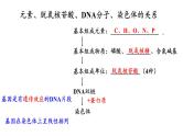 4.1 基因指导蛋白质的合成课件PPT