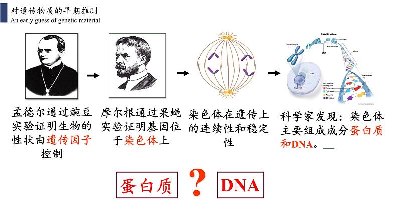 3.1 DNA是主要的遗传物质课件PPT第2页