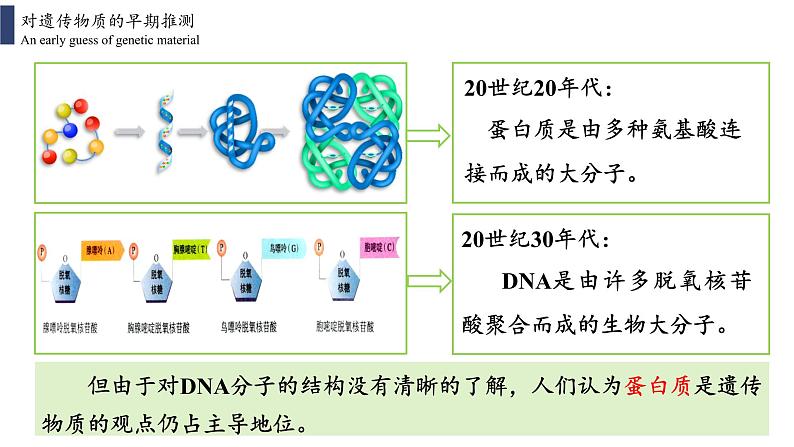 3.1 DNA是主要的遗传物质课件PPT第3页