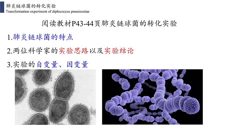 3.1 DNA是主要的遗传物质课件PPT第4页