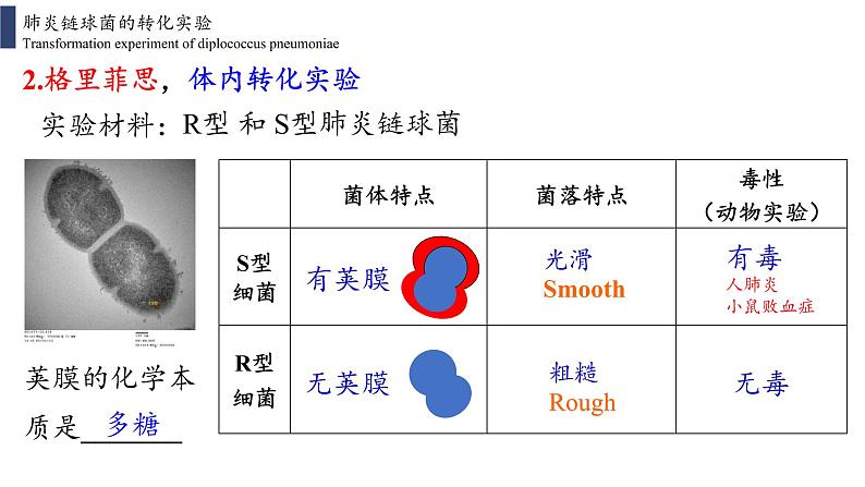 3.1 DNA是主要的遗传物质课件PPT第7页