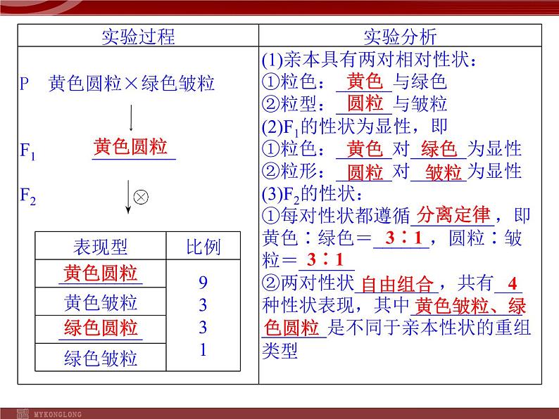 高效课堂同步课件：1-2孟德尔的豌豆杂交实验（二）（必修2） (2)05