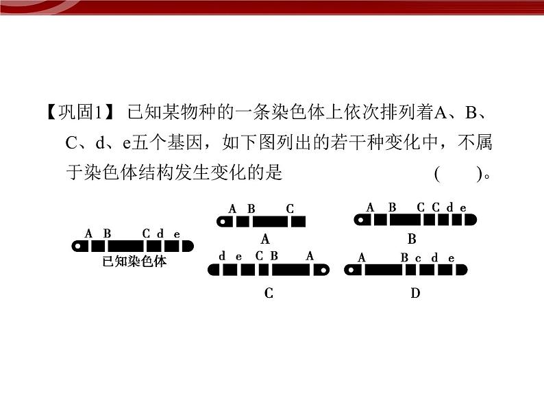 高效课堂同步课件：5-2-1染色体变异（必修2）08