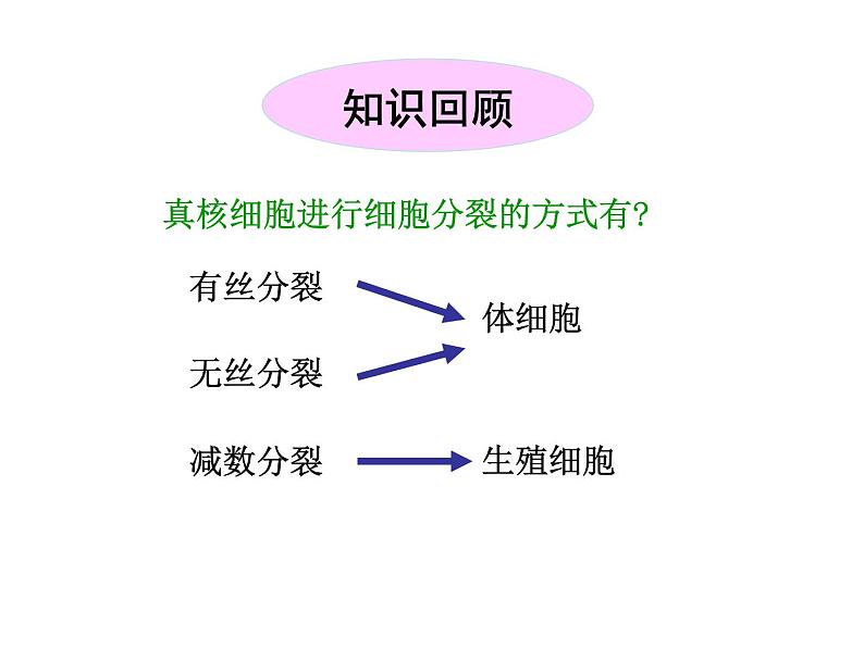 【人教版】高中生物必修二《 2.1.1 减数分裂》课件02