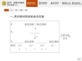 高中生物人教版必修2课件：1.2 孟德尔的豌豆杂交实验（二）