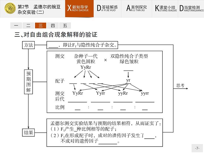 高中生物人教版必修2课件：1.2 孟德尔的豌豆杂交实验（二）07