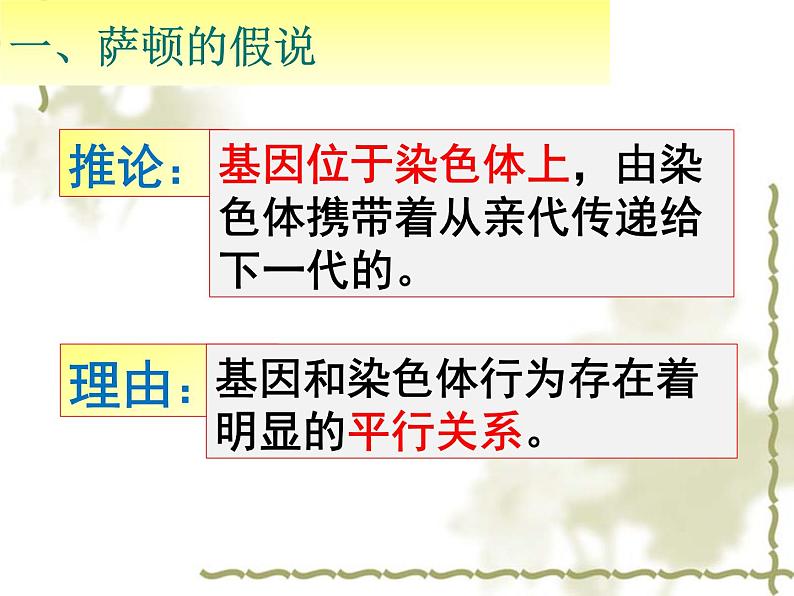 高中人教版生物必修2教学课件：2.2 基因在染色体上2 word版含答案05