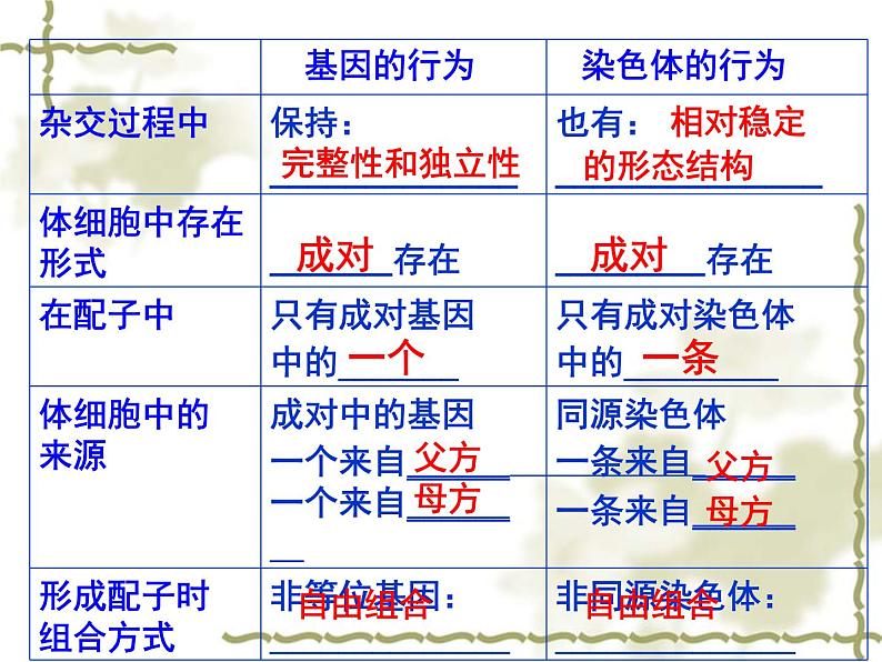 高中人教版生物必修2教学课件：2.2 基因在染色体上2 word版含答案06