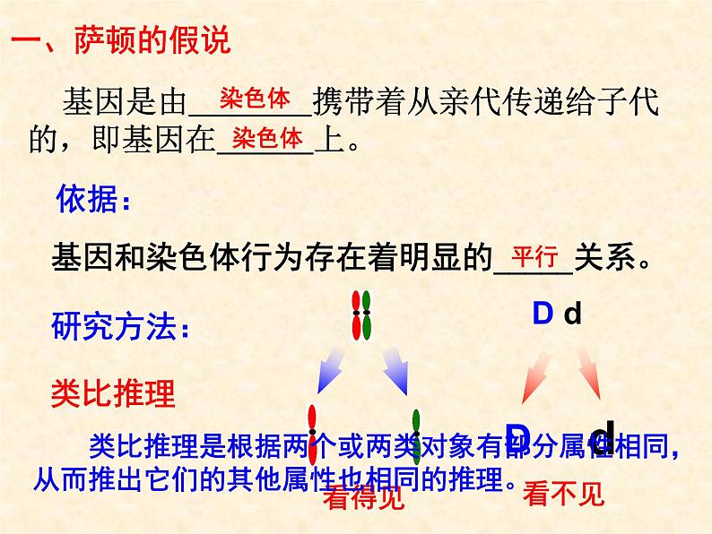 高中人教版生物必修2教学课件：2.2 基因在染色体上1第2页