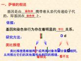 高中人教版生物必修2教学课件：2.2 基因在染色体上1