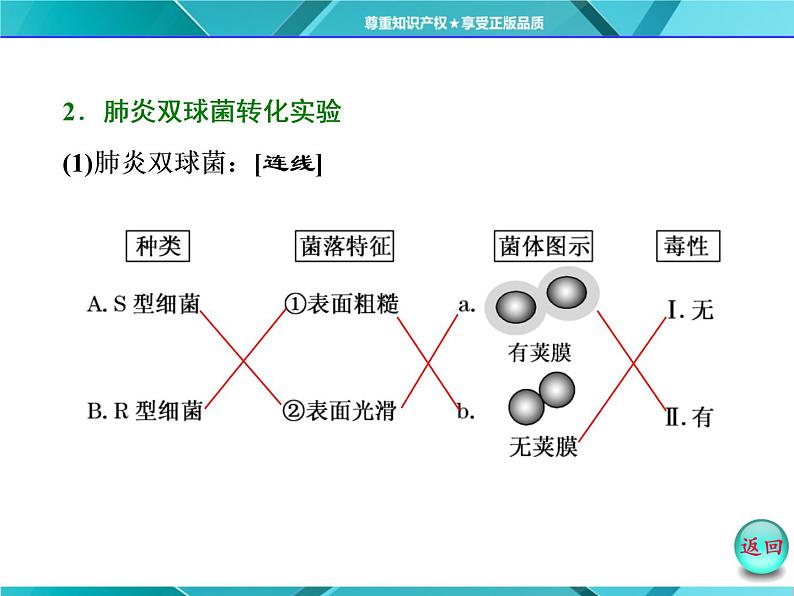 人教版必修2课件 第3章 第1节 dna是主要的遗传物质04