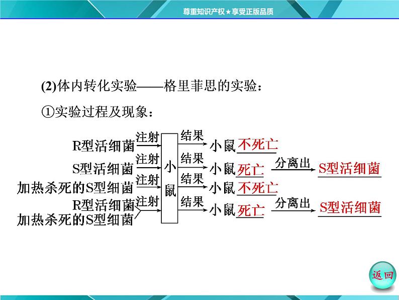 人教版必修2课件 第3章 第1节 dna是主要的遗传物质05