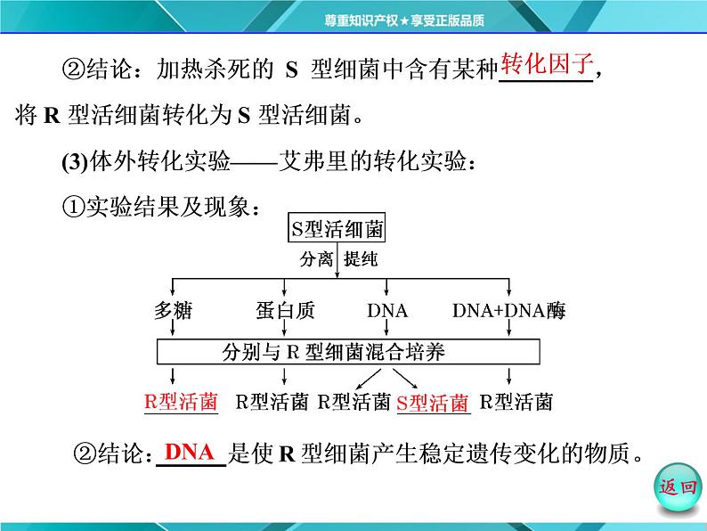 人教版必修2课件 第3章 第1节 dna是主要的遗传物质06