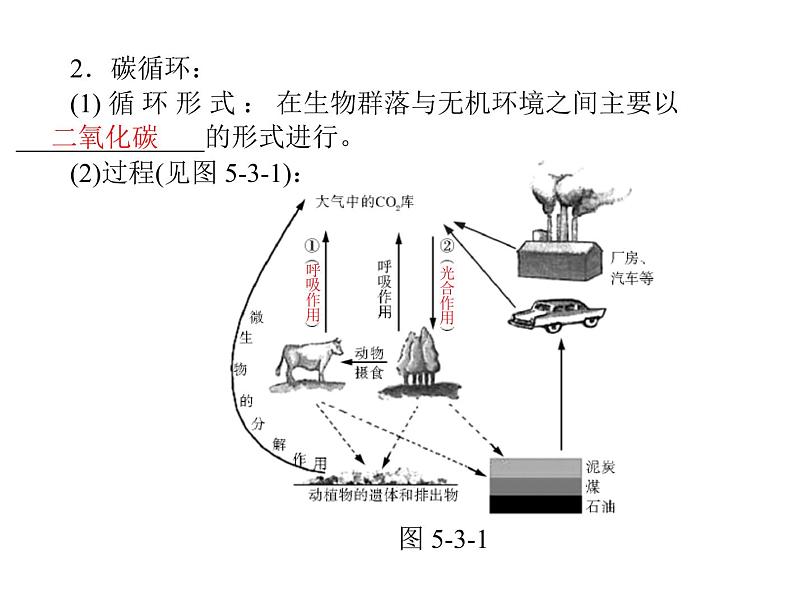 新人教版生物必修三：5.3《生态系统的物质循环》ppt课件（27页）第3页