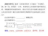 新人教版生物必修三：5.3《生态系统的物质循环》ppt课件（27页）