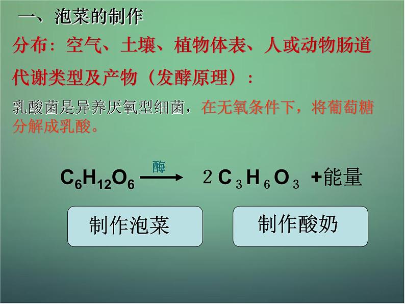 高中生物 1.3制作泡菜并检测亚硝酸盐含量课件 新人教版选修106