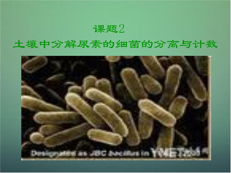 高中生物 2.2土壤中分解尿素的细菌的分离与计数课件 新人教版选修103