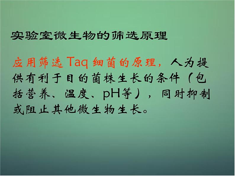 高中生物 2.2土壤中分解尿素的细菌的分离与计数课件 新人教版选修107