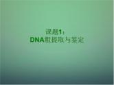 高中生物 5.1dna的粗提取与鉴定课件 新人教版选修1