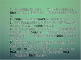 高中生物 5.1dna的粗提取与鉴定课件 新人教版选修1