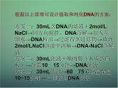 高中生物 5.1dna的粗提取与鉴定课件 新人教版选修1