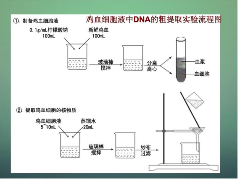 高中生物人教版 (新课标)选修1《生物技术实践》课题1 DNA的粗提取与鉴定图片课件ppt-教习网|课件下载