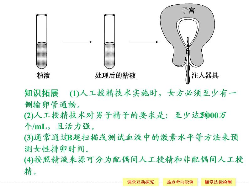 1.4 生殖健康 精品课件（人教版选修2）06