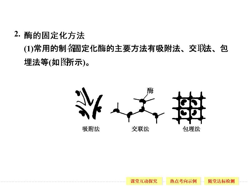 3.2 酶在工业生产中的应用 精品课件（人教版选修2）07