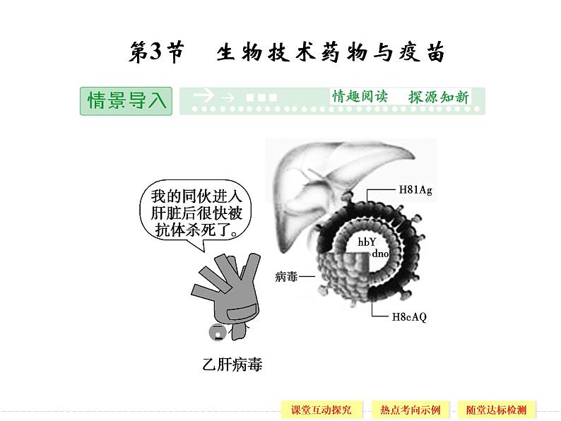 3.3 生物技术药物与疫苗 精品课件（人教版选修2）01