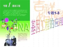 人教版 (新课标)选修3《现代生物科技专题》1.3 基因工程的应用集体备课课件ppt