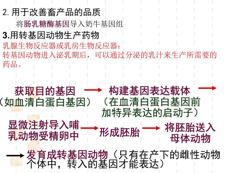 人教版高中生物选修三专题1  1-3基因工程的应用（共12张ppt）04