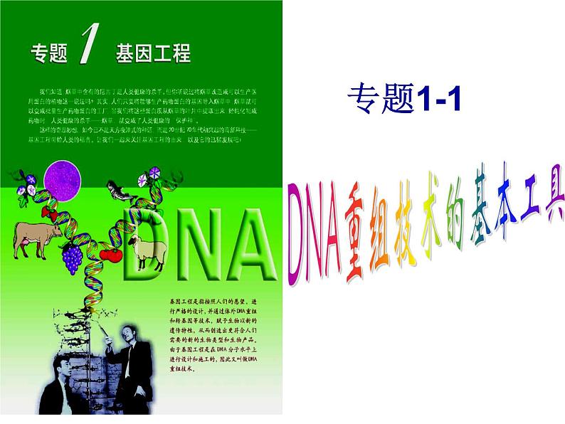 人教版高中生物选修三专题1+1-1dna重组技术的基本工具（共24张ppt）第1页