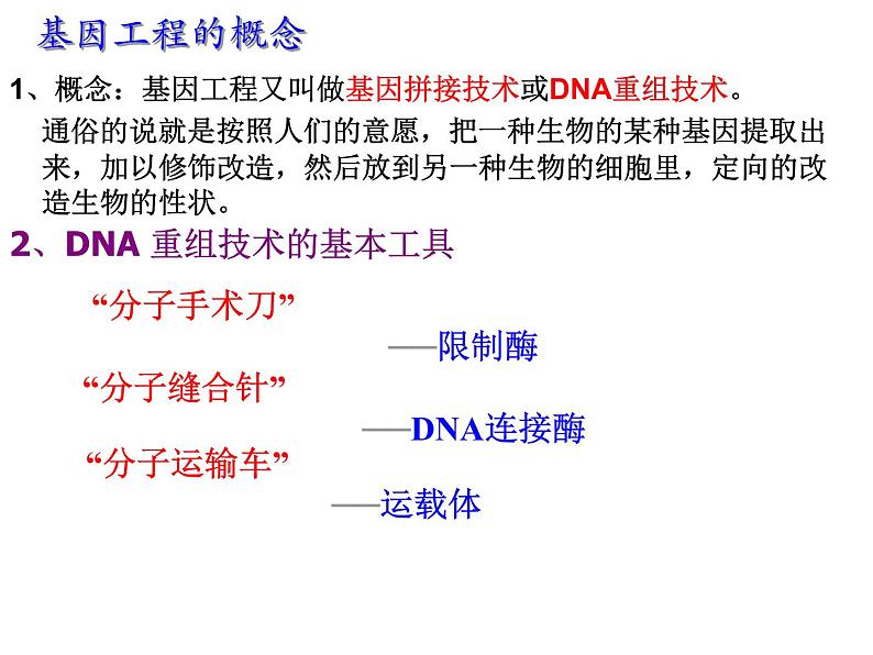 人教版高中生物选修三专题1+1-1dna重组技术的基本工具（共24张ppt）第2页