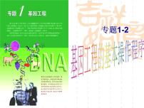 高中生物人教版 (新课标)选修3《现代生物科技专题》1.2 基因工程的基本操作程序教课内容课件ppt