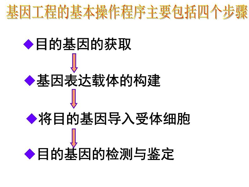 人教版高中生物选修三专题1++1-2+基因工程的基本操作程序（共19张ppt）02