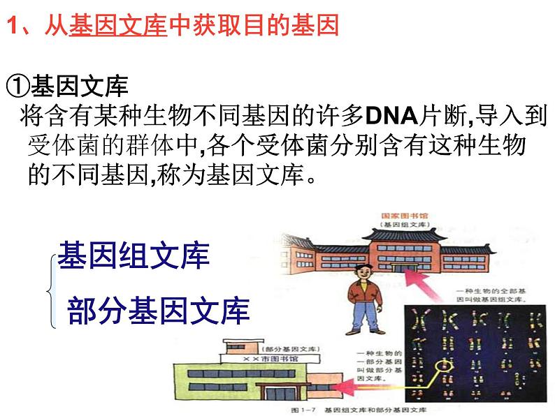 人教版高中生物选修三专题1++1-2+基因工程的基本操作程序（共19张ppt）04