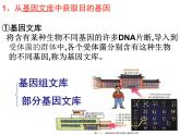 人教版高中生物选修三专题1++1-2+基因工程的基本操作程序（共19张ppt）