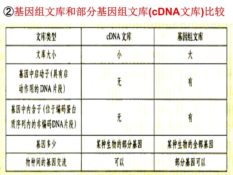 人教版高中生物选修三专题1++1-2+基因工程的基本操作程序（共19张ppt）06