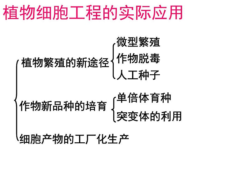 人教版高中生物选修三专题2细胞工程   2.1.2植物细胞工程的实际应用（共21张ppt）第2页