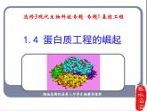 人教版高中生物选修三专题1++1-4+蛋白质工程的崛起（共18张ppt）